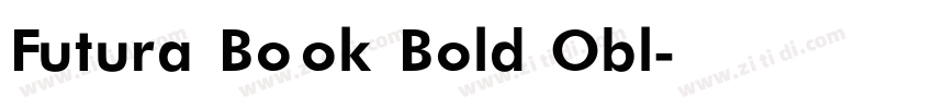 Futura Book Bold Obl字体转换